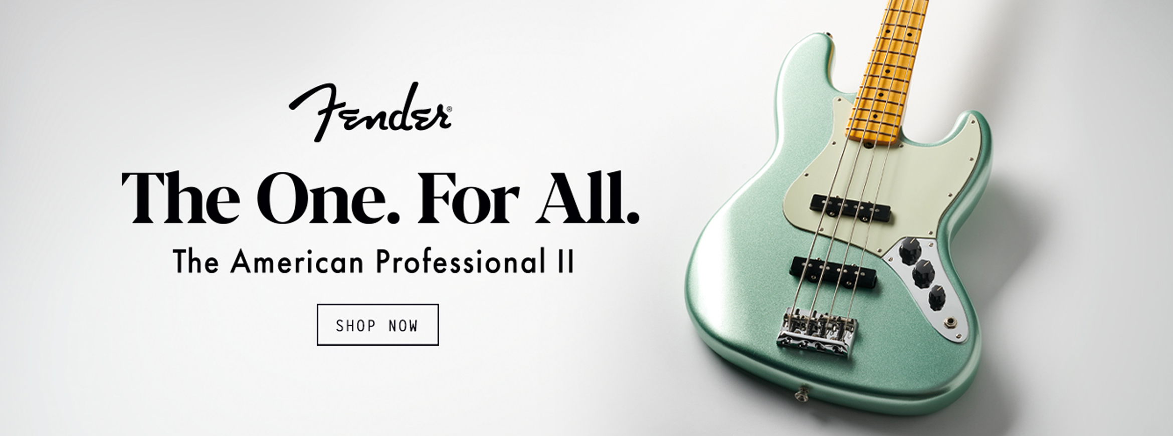 Denis Musique - Fender Professional II